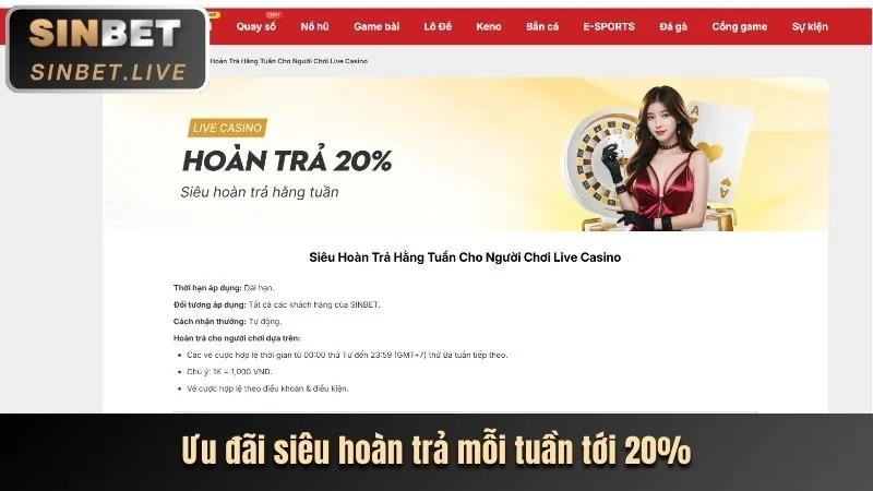 Hình minh họa cách 6fff app sử dụng cookie để cá nhân hóa trải nghiệm người dùng